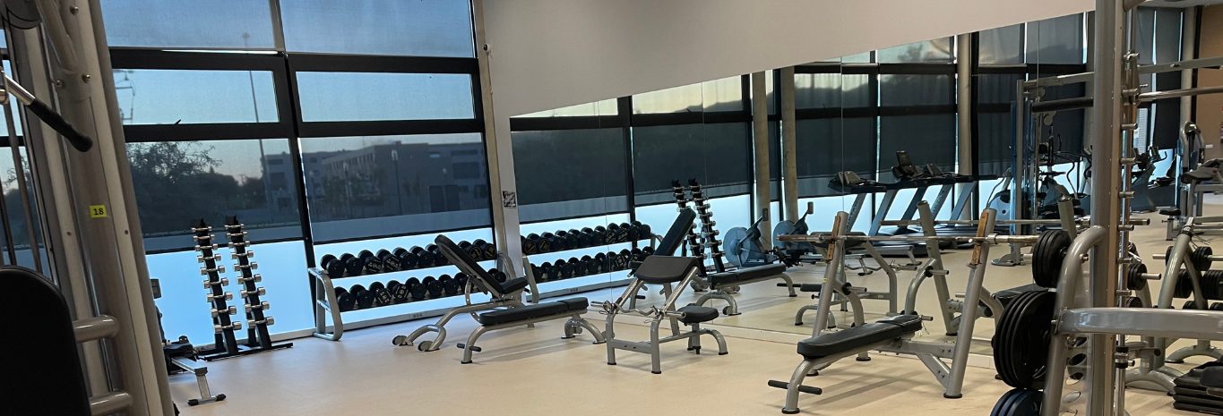 Vista general de la sala fitness con los ventanales al fondo