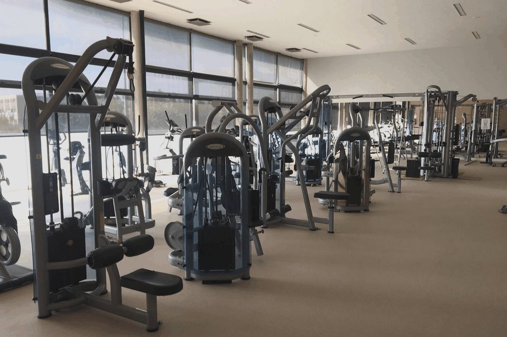 Máquinas de cardio frente a los ventanales de la sala